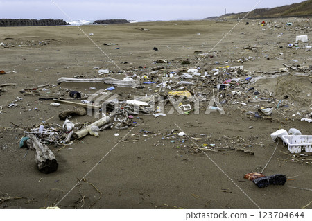 Rubbish from the Japan Sea, washed up on beach, Japan 123704644