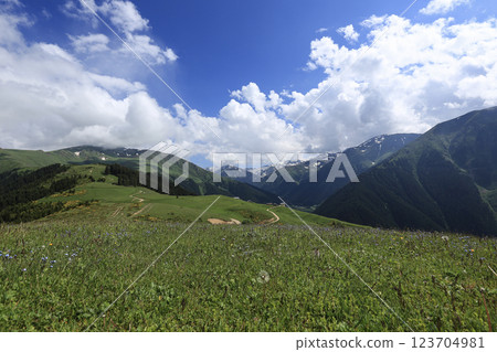 Footage of alpine meadows above tree line and cloudy blue sky. 123704981