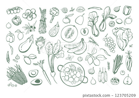 Hand drawn fruits and vegetables set 123705209