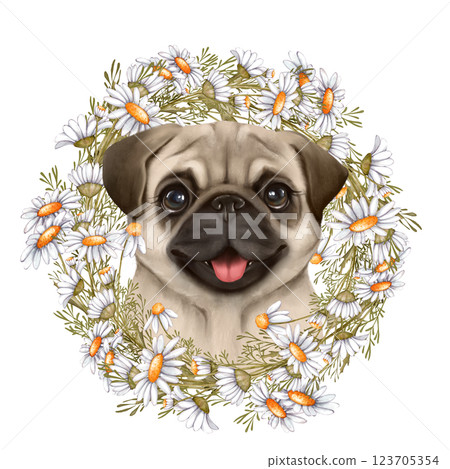 Cute pug with daisies, hand drawn dog illustration with flowers 123705354