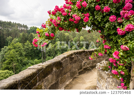 A stunning gate draped in bright pink roses welcomes visitors. It stands on an ancient stone wall, overlooking a lush green forest, creating a charming and inviting atmosphere. A stunning gate draped in bright pink roses welcomes visitors. It stands on an ancient stone wall, overlooking a lush green forest, creating a charming and inviting atmosphere. 123705468