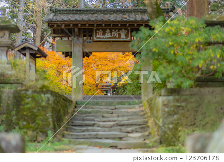[神奈川縣鎌倉市]淨智寺莊嚴門的紅葉 *自然風景 123706178
