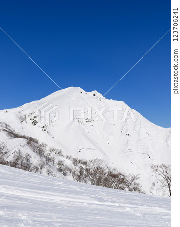 A spectacular view of Mt. Tanigawa from the snowy Tenjin Ridge 123706241