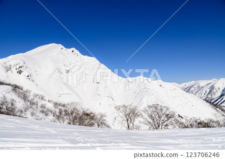從白雪皚皚的天神山脊上欣賞谷川岳的壯麗景色 123706246
