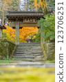 [神奈川縣鎌倉市]淨智寺莊嚴門的紅葉 *自然風景 123706251