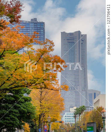 [Kanagawa Prefecture, Yokohama City] Autumn leaves along the coastline *Cityscape 123706411