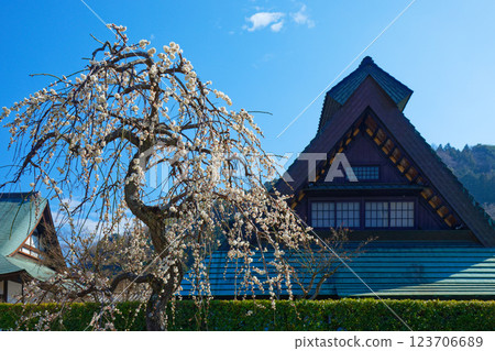 風祭站附近的餐廳：Chise Wairo、Mikura、Choza、Suzuhiro Kamaboko no Sato 123706689