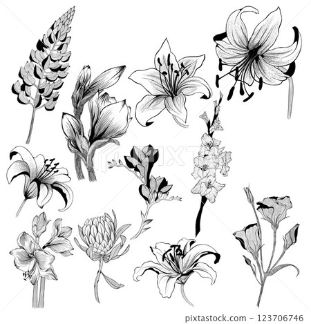 big set of flowers sketches. Hand-drawn. design greeting card and invitation of the wedding, birthday, Valentine's Day, mother's day and other holiday 123706746