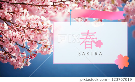 Cherry blossoms in full bloom Spring stylish background frame Title banner material 123707019