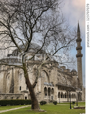 Historical Mosque with Tall Minaret and Surrounding Greenery in Urban Setting, Istanbul, Turkey Historical Mosque with Tall Minaret and Surrounding Greenery in Urban Setting, Istanbul, Turkey 123707079