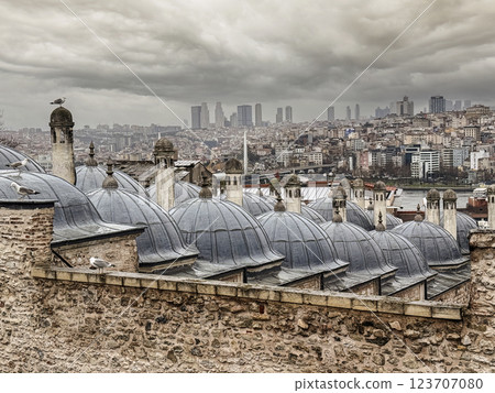 Panoramic view of Istanbul Cityscape and Urban Landscape Panoramic view of Istanbul Cityscape and Urban Landscape 123707080