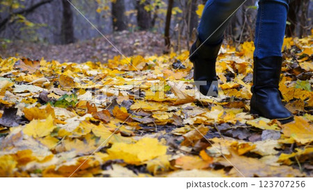 Female feet in boots going on fallen maple leaves at park. Legs of young woman stepping on yellow foliage at autumn forest. Girl walking along trail at wild nature. Close up Slow motion Female feet in boots going on fallen maple leaves at park. Legs of young woman stepping on yellow foliage at autumn forest. Girl walking along trail at wild nature. Close up Slow motion 123707256