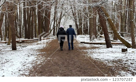 Mature couple going on snowy path at winter pine forest. Senior husband and wife walking through trail at coniferous woodland. Older pair of pensioners spending time together at nature Mature couple going on snowy path at winter pine forest. Senior husband and wife walking through trail at coniferous woodland. Older pair of pensioners spending time together at nature 123707287