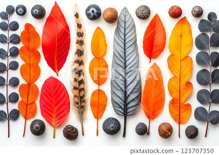 Flat lay of colorful autumn leaves, berries, and a feather arranged on a white background Flat lay of colorful autumn leaves, berries, and a feather arranged on a white background 123707350