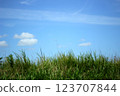 Sky from the roadside 123707844