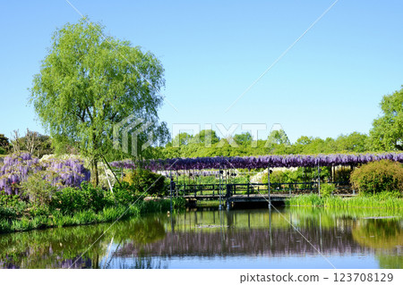 足利花卉公園 - 花園景觀 123708129
