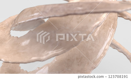 The White Marble Splash on White Background for Abstract Background concept 3d Rendering. 123708191