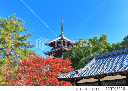 [Kyoto Prefecture] Ninna-ji Temple's five-story pagoda in autumn 123708228