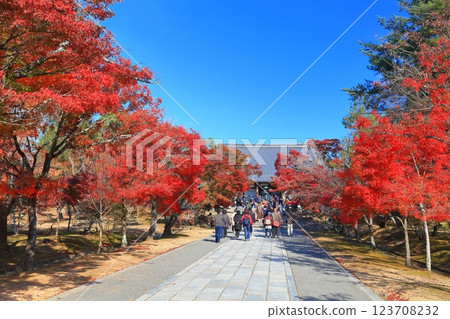 [Kyoto Prefecture] Autumn leaves at the main hall of Ninna-ji Temple 123708232