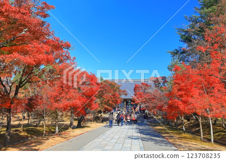 [京都府] 仁和寺本殿的紅葉 123708235