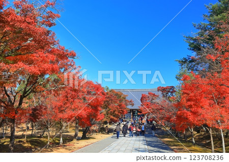 [Kyoto Prefecture] Autumn leaves at the main hall of Ninna-ji Temple 123708236