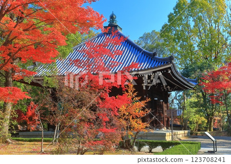 [Kyoto Prefecture] Autumn leaves at Ninna-ji Temple's scripture repository 123708241
