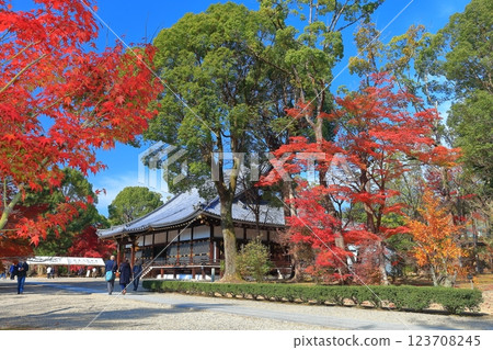 [Kyoto Prefecture] Autumn leaves at the main hall of Ninna-ji Temple 123708245