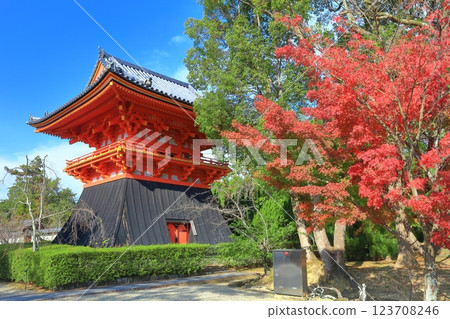[Kyoto Prefecture] The bell tower of Ninna-ji Temple in autumn colors 123708246
