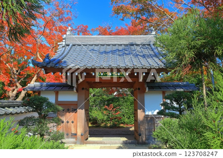 【京都府】晴天的源光庵紅葉 123708247
