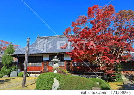 [Kyoto Prefecture] The main hall of Genko-an Temple in autumn 123708253