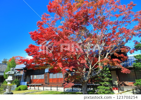 [Kyoto Prefecture] The main hall of Genko-an Temple in autumn 123708254