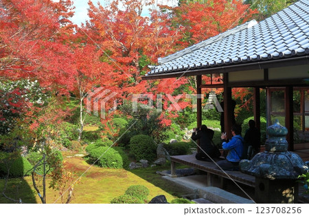 [Kyoto Prefecture] Autumn leaves in the courtyard of Genko-an 123708256