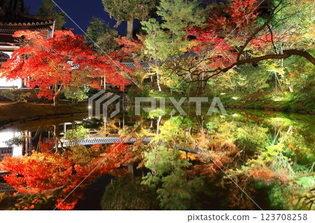 [Kyoto Prefecture] Autumn leaves light up at Gesshin-in Temple in Kodaiji Temple 123708258