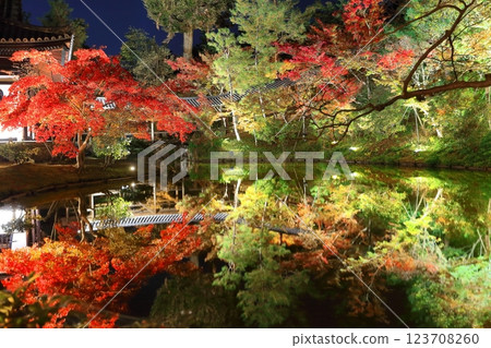 [Kyoto Prefecture] Autumn leaves light up at Gesshin-in Temple in Kodaiji Temple 123708260