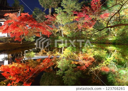 [Kyoto Prefecture] Autumn leaves light up at Gesshin-in Temple in Kodaiji Temple 123708261
