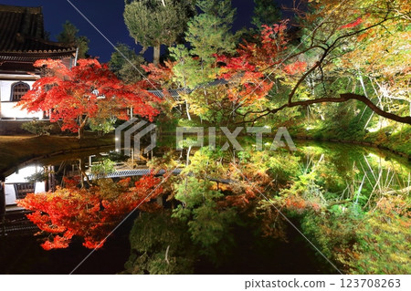 [Kyoto Prefecture] Autumn leaves light up at Gesshin-in Temple in Kodaiji Temple 123708263