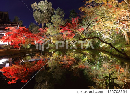 [Kyoto Prefecture] Autumn leaves light up at Gesshin-in Temple in Kodaiji Temple 123708264