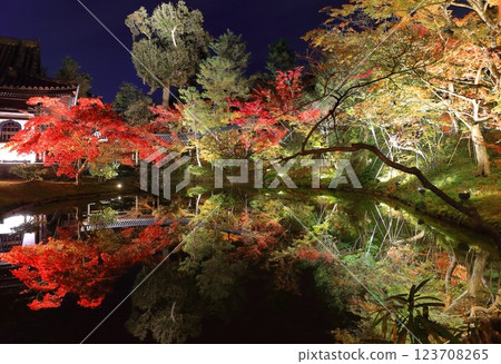 【京都府】高台寺月心院紅葉亮燈 123708265