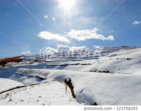 陽光明媚的冬日，小巴舍梯田的冬季風景 123708283