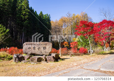 Autumn leaves along the Hida Seseragi Highway (Nishiure Pass, Kiyomi-cho, Takayama City, Gifu Prefecture) 123708314