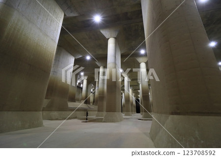 Underground Temple: Pressure Regulating Tank of the Metropolitan Area Outer Underground Discharge Channel 123708592