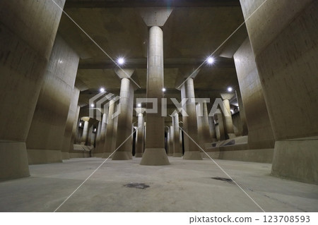 Underground Temple: Pressure Regulating Tank of the Metropolitan Area Outer Underground Discharge Channel 123708593