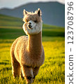 Cute alpaca walking in the grassland 123708796