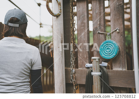 horse, female, lady 123708812
