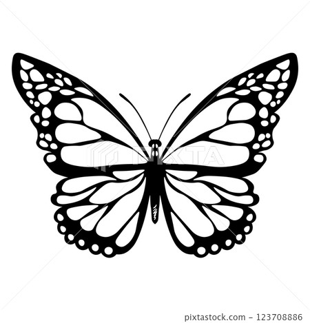 Funny black and white butterfly. Color flat vector of detailed butterflies. Cute characters. Card, postcards for kids. Silhouette icon Funny black and white butterfly. Color flat vector of detailed butterflies. Cute characters. Card, postcards for kids. Silhouette icon 123708886
