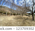 伊豆湯船川公園 123709302