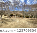 伊豆湯船川公園 123709304
