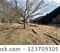 伊豆湯船川公園 123709305