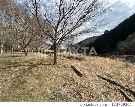 Izu Yufunegawa Park Izu Yufunegawa Park 123709305