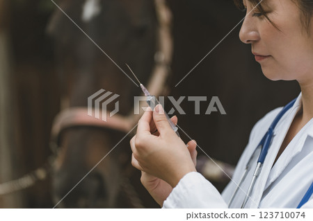 馬 馬兒 射入 123710074